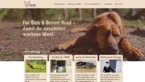 HunDu Website
