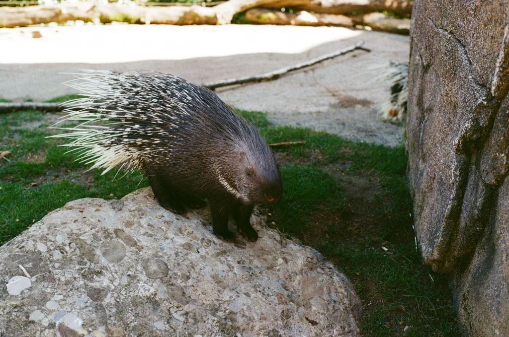 Zoo